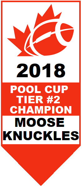 Football Pool Cup Tier #2 Champion 2018