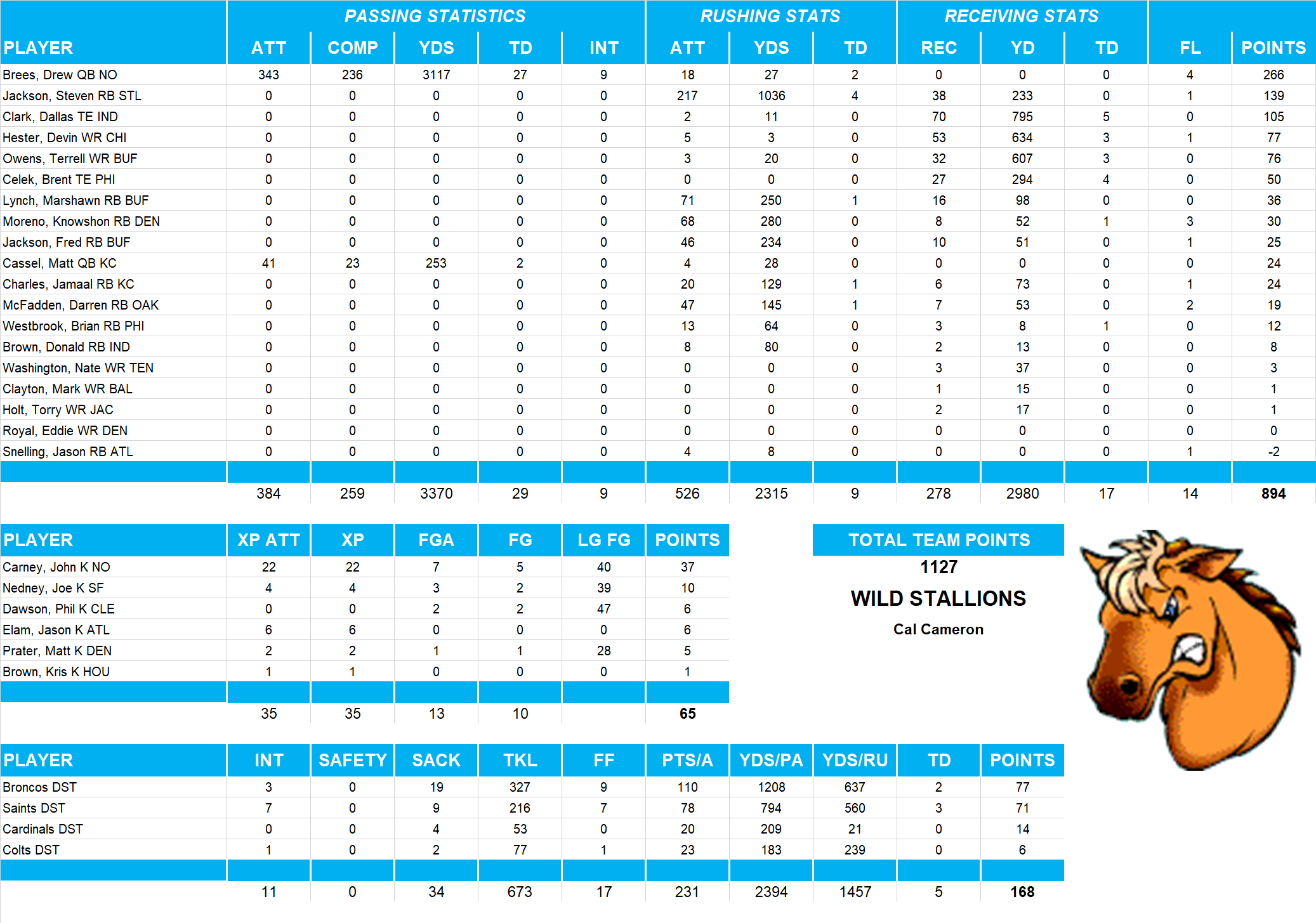 2009 National Football League Pool Team Stats