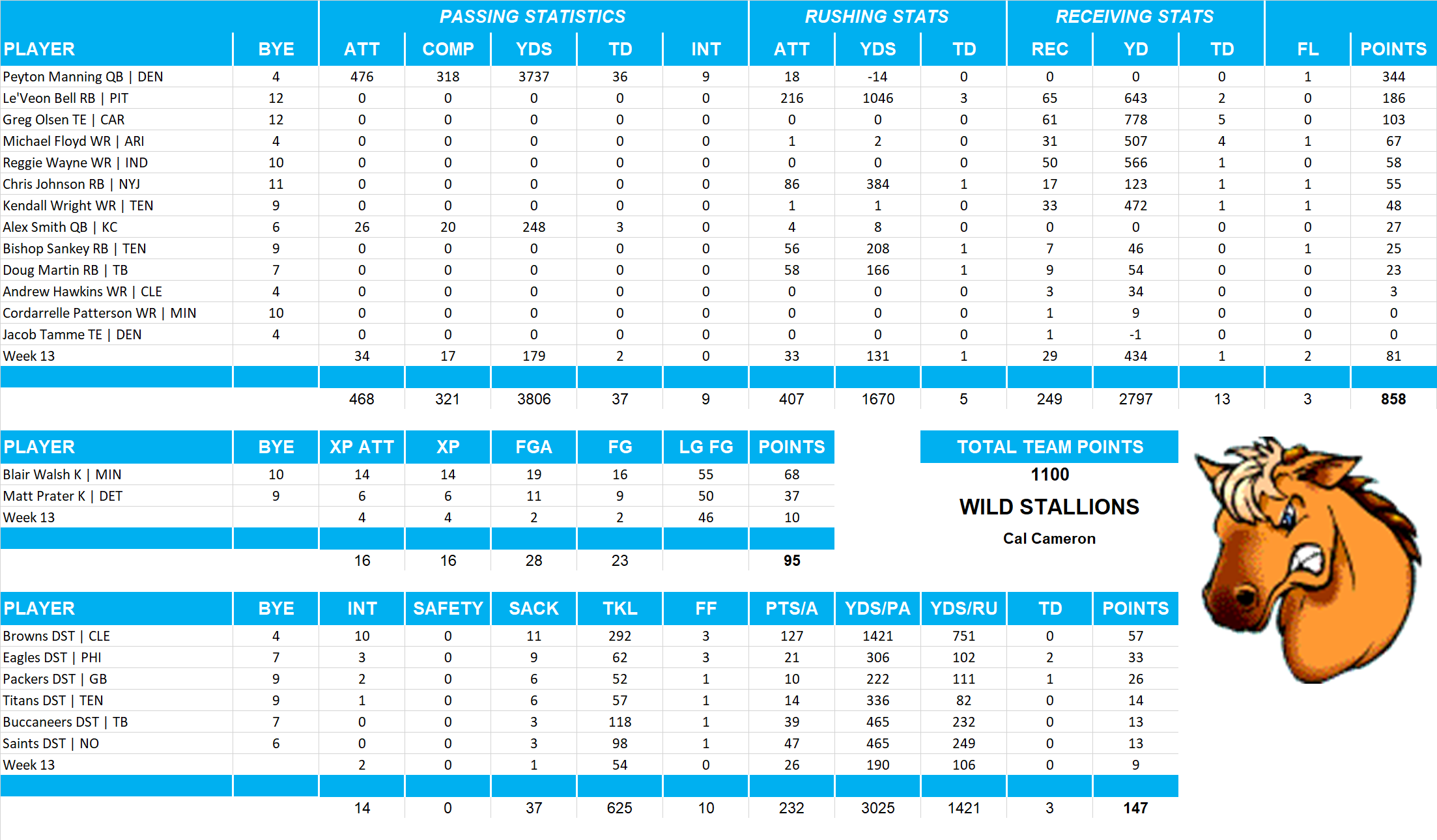 2014 National Football League Pool Team Stats