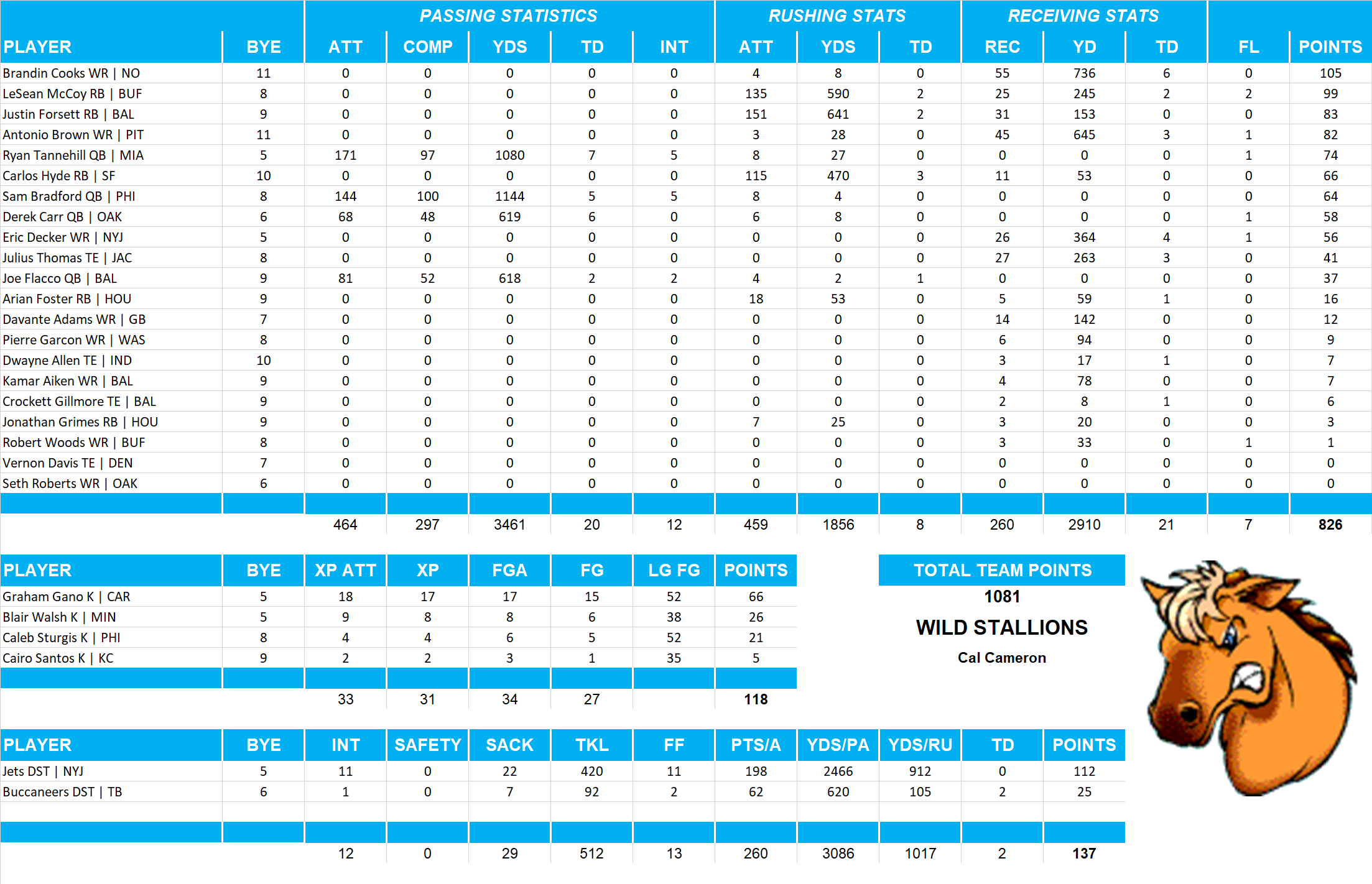 2015 National Football League Pool Team Stats