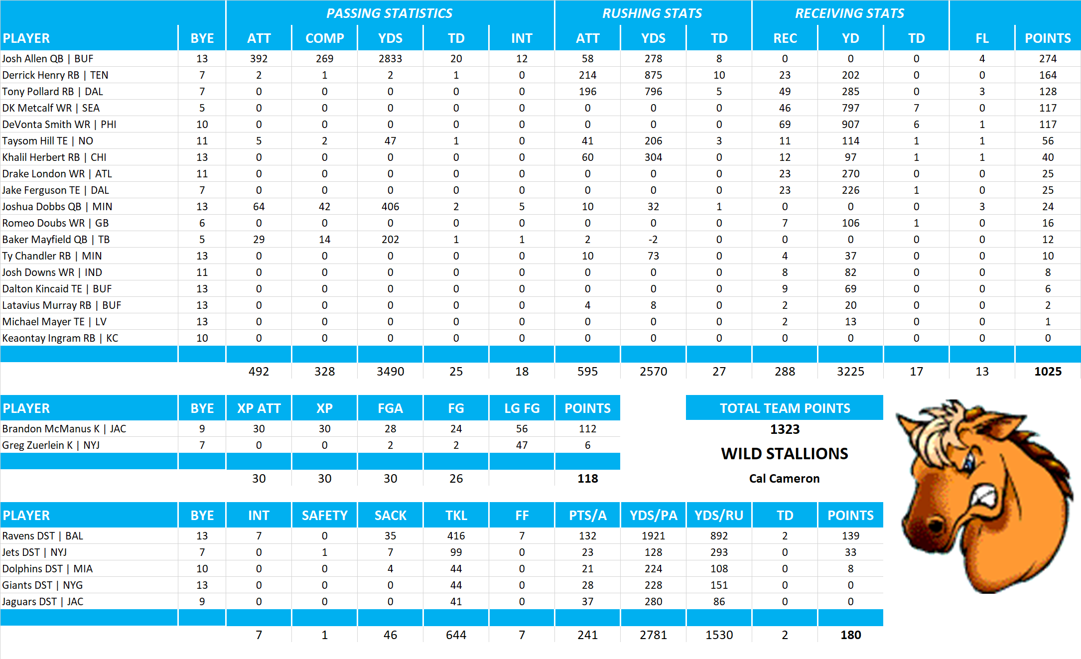 2023 National Football League Pool Team Stats