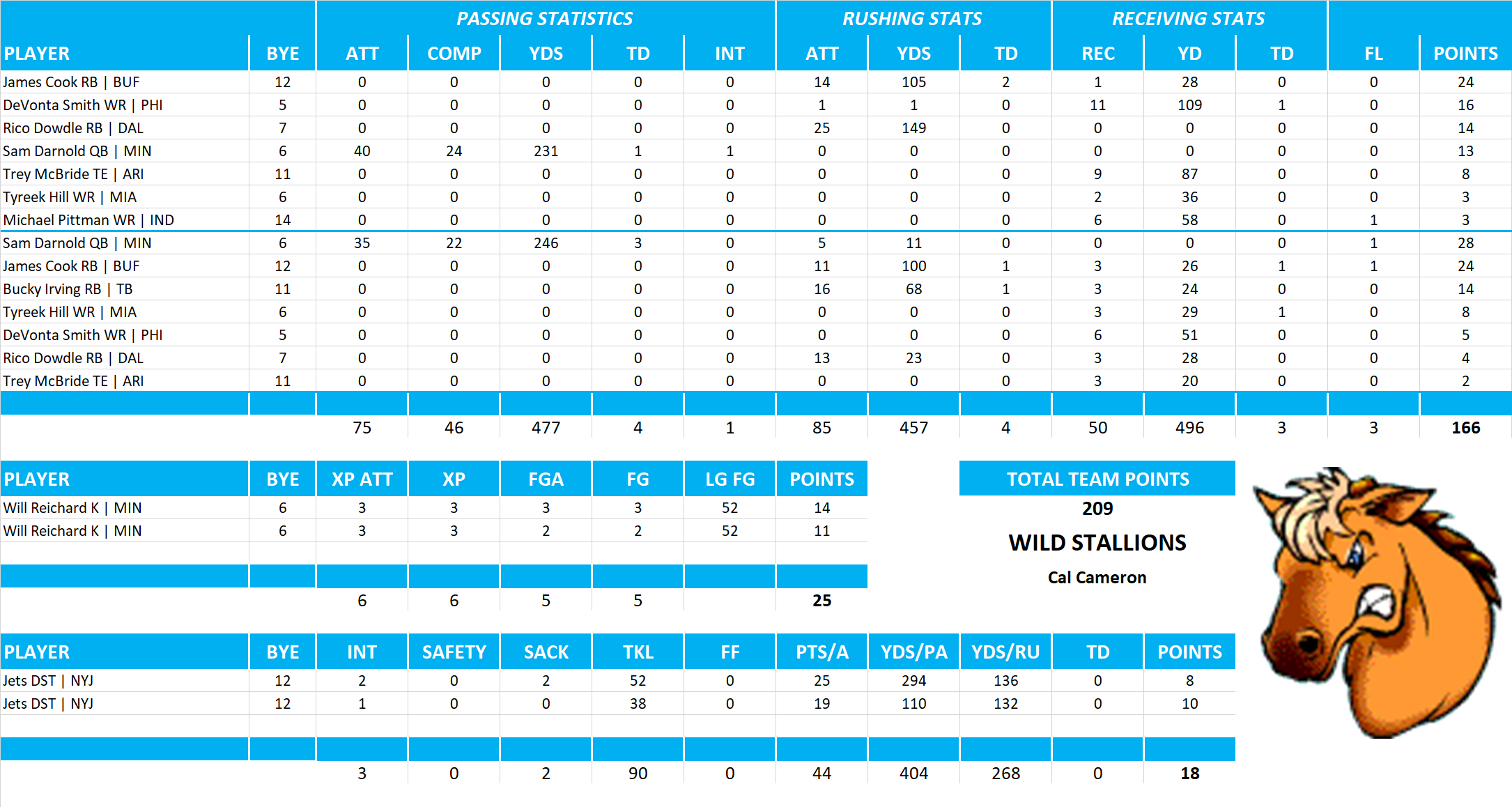 2024 National Football League Pool Playoff Team Stats