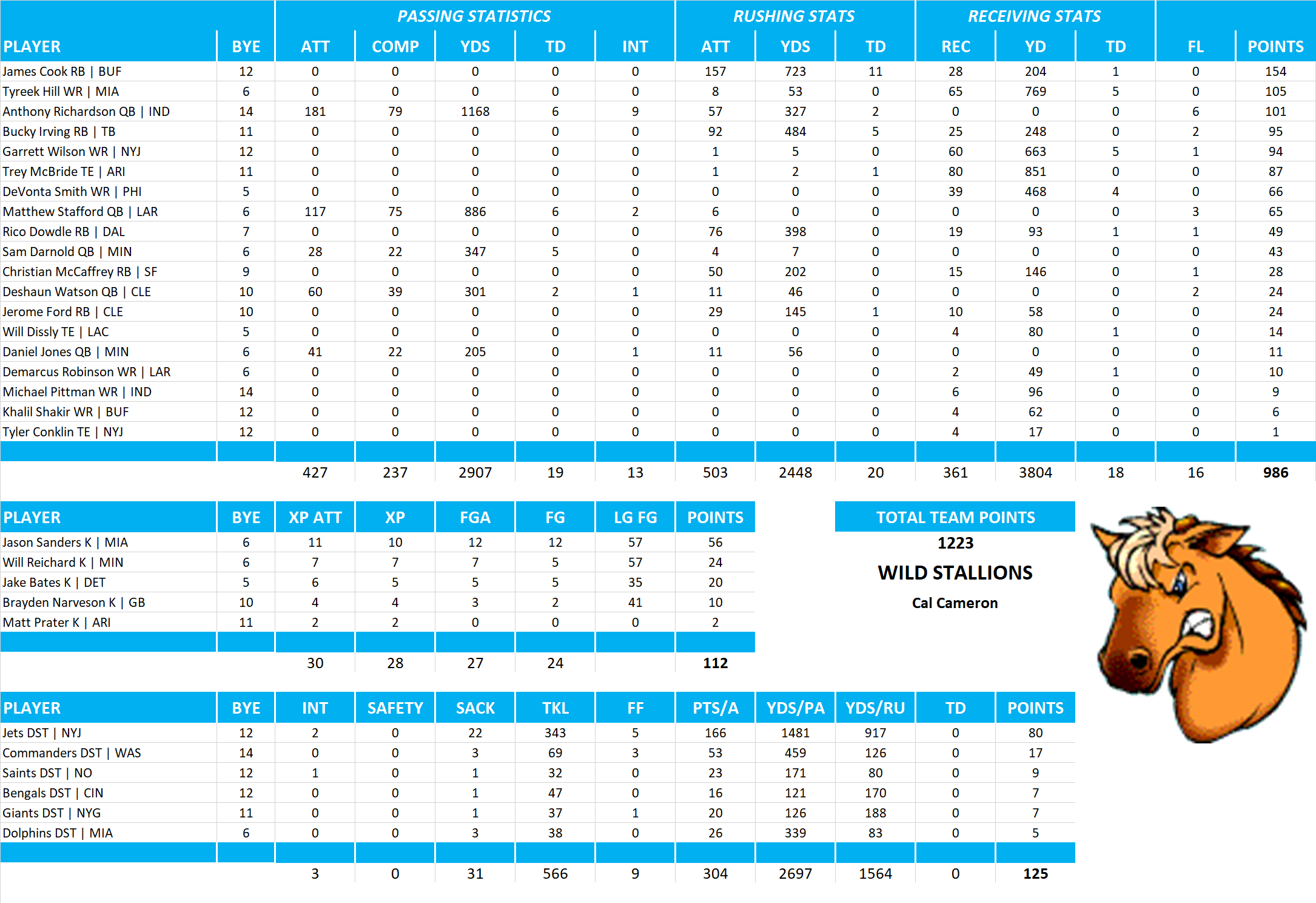 2024 National Football League Pool Team Stats