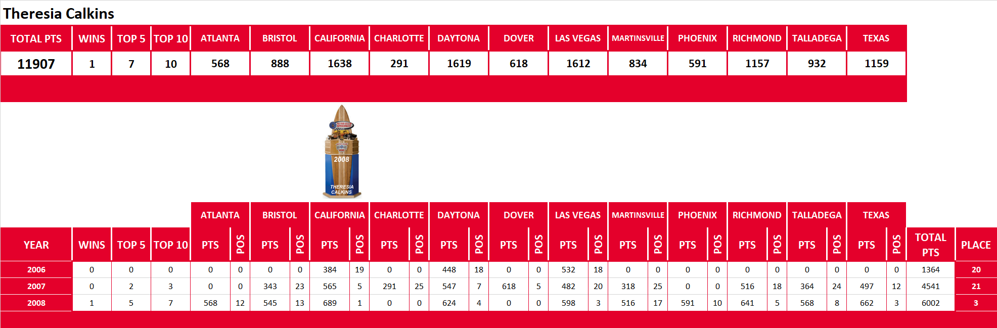 NASCAR Lifetime Stats
